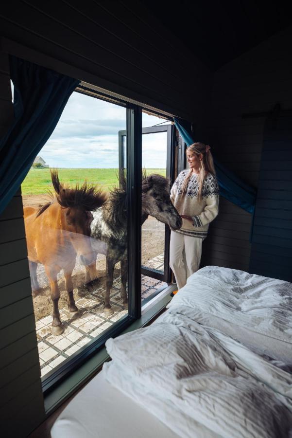 Sleeping With The Horses Apartman Hvolsvöllur Kültér fotó