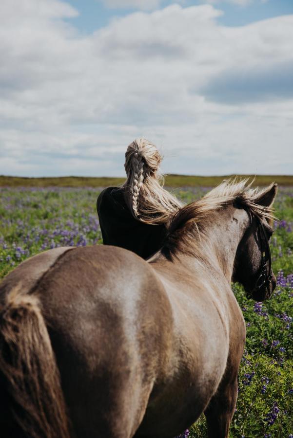 Sleeping With The Horses Apartman Hvolsvöllur Kültér fotó