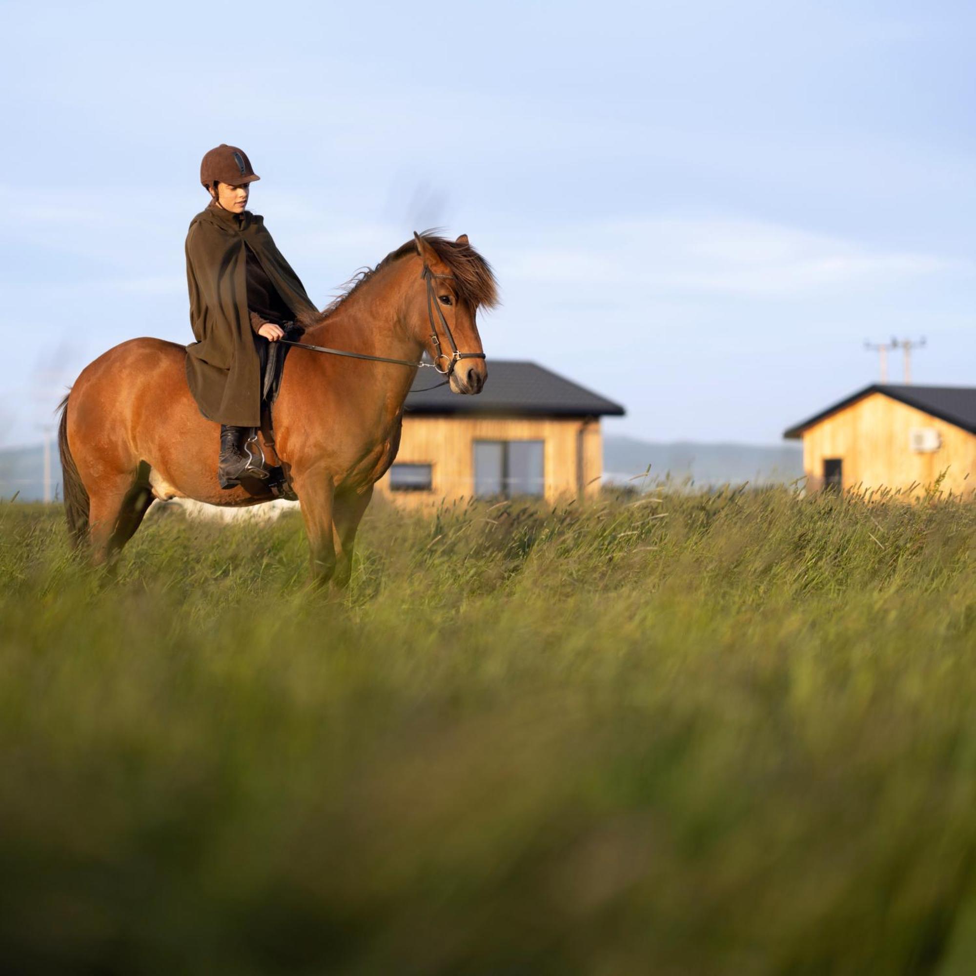 Sleeping With The Horses Apartman Hvolsvöllur Kültér fotó
