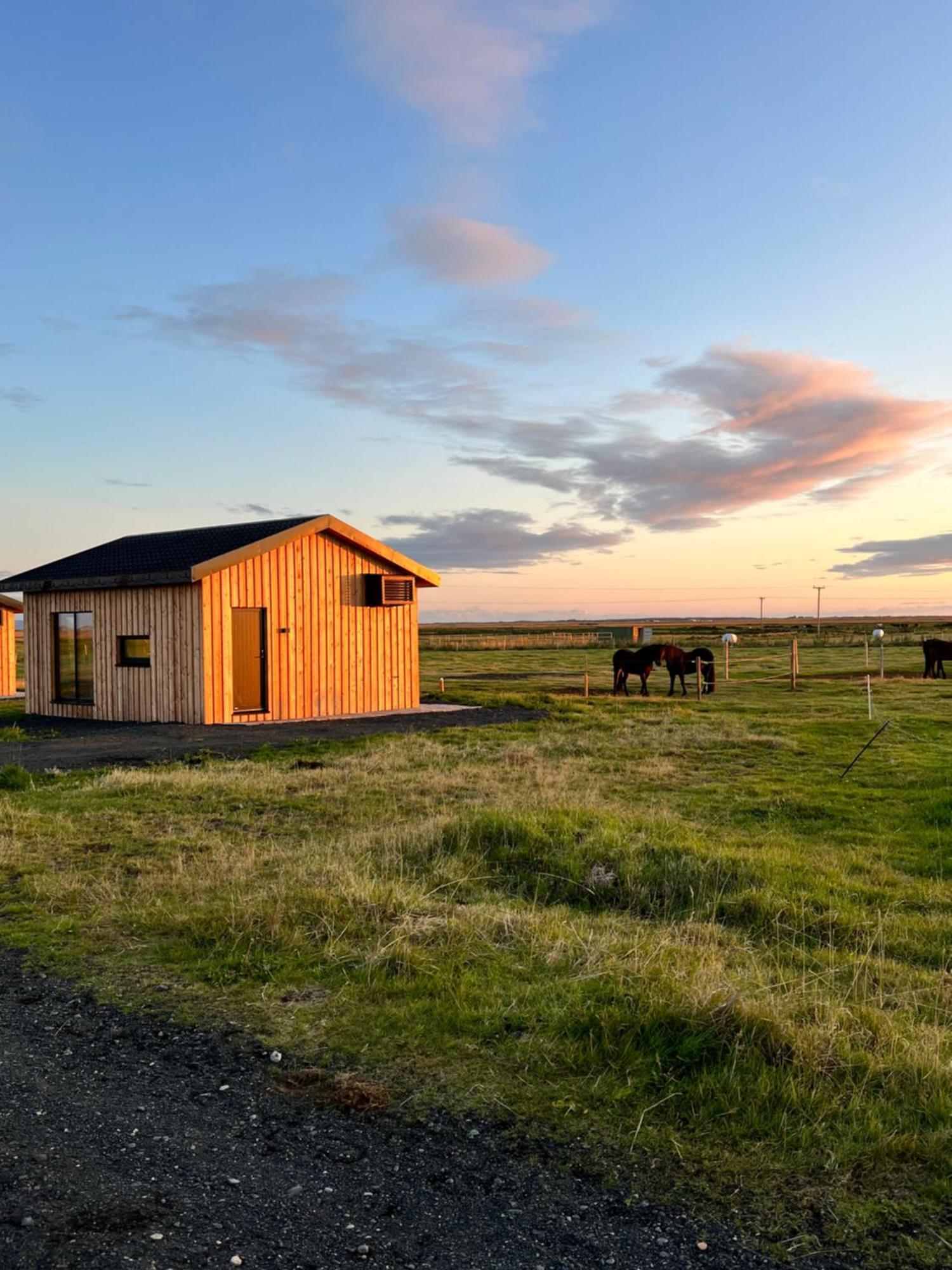 Sleeping With The Horses Apartman Hvolsvöllur Kültér fotó